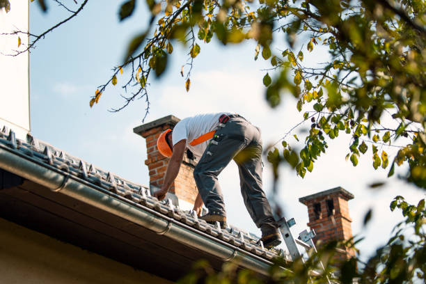 Quick and Trustworthy Emergency Roof Repair Services in Elwood, IL