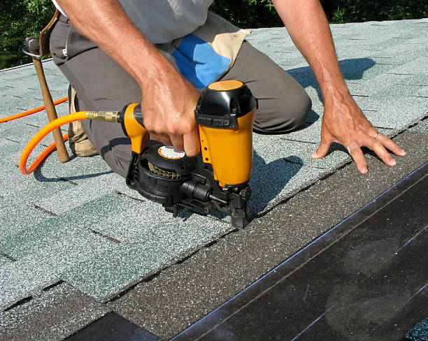 Best Roof Gutter Cleaning  in Elwood, IL